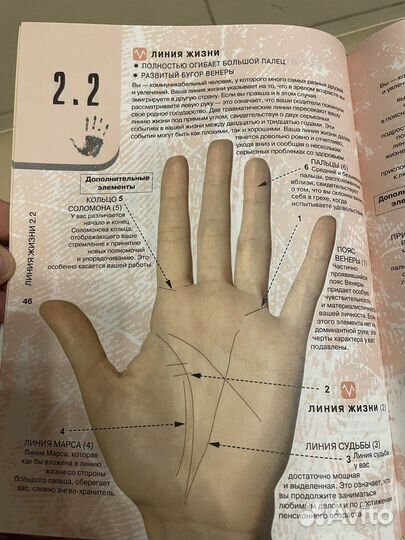 Энциклопедия Хиромантии