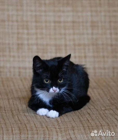 Невероятная и нереально красивая Бони