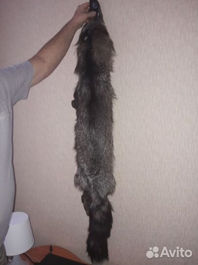 Продаю шкуру лисы