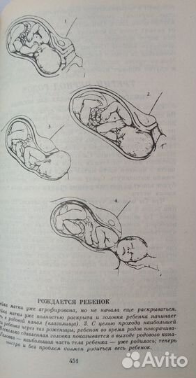 Литература для будущих родителей Цена за 2 книги