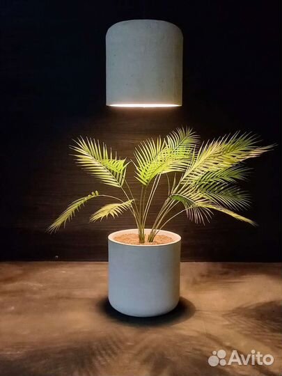 Вазоны для цветов из бетона