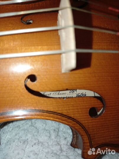 Скрипка 1 8 Vasile Gliga