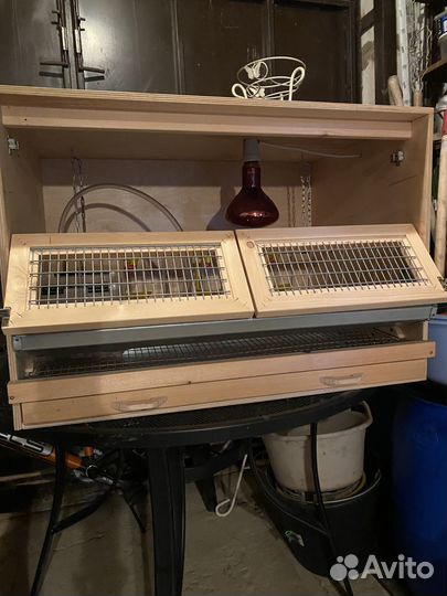 Клетка для перепелов