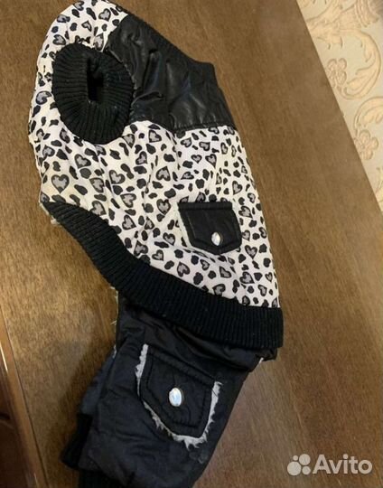 Одежда для собак