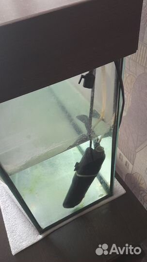 Аквариум для черепах 80 литров