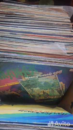 Виниловые пластинки