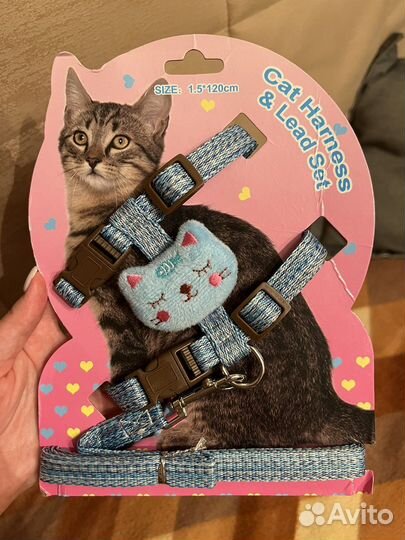 Новая шлейка с поводком для кошек сине-голубой