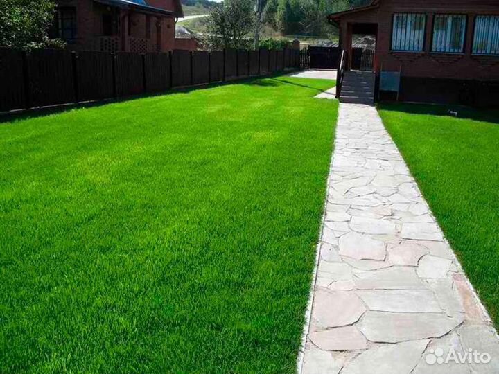 Рулонный газон, укладка, продажа