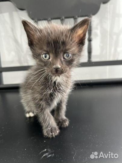 Очаровательные малыши