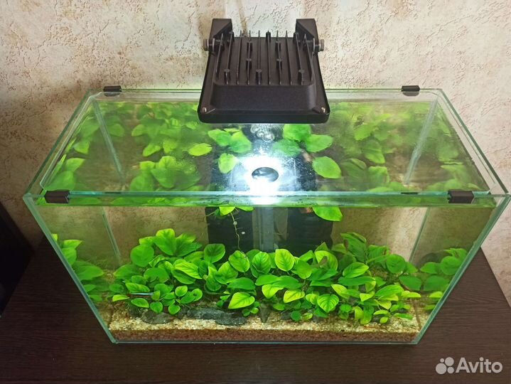 Держатели покровного стекла