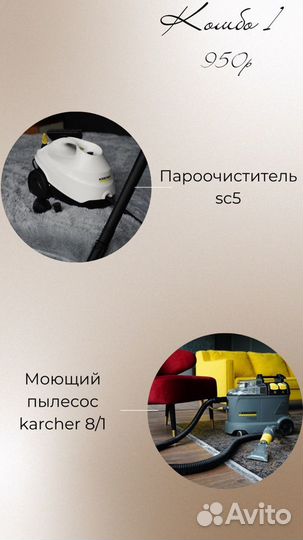 Аренда моющего пылесоса karcher химчистка мебели