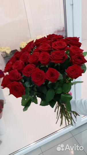 Цветы. Букет из 51 розы с бесплатной доставкой