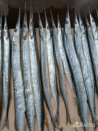 Вяленая рыба Барабуля Бычки Кефаль Сарган Ставрида