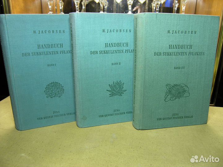 Handbuch der Sukkulenten Pflanzen Hermann Jacobsen