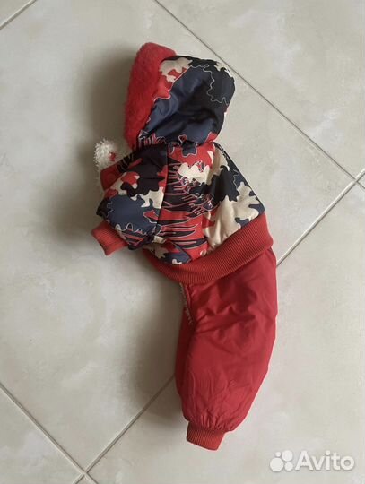 Одежда для собак