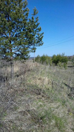 Участок 5 сот. (СНТ, ДНП)