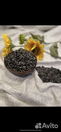 Ядро подсолнечника