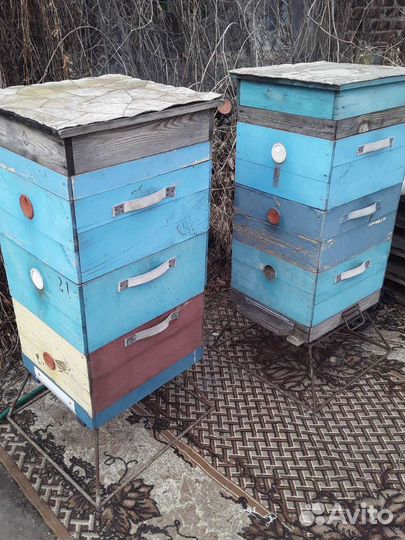 Улей для пчел