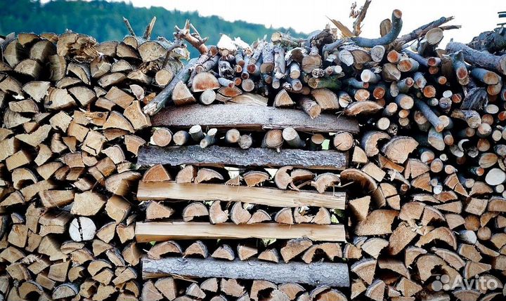 Дрова сухие