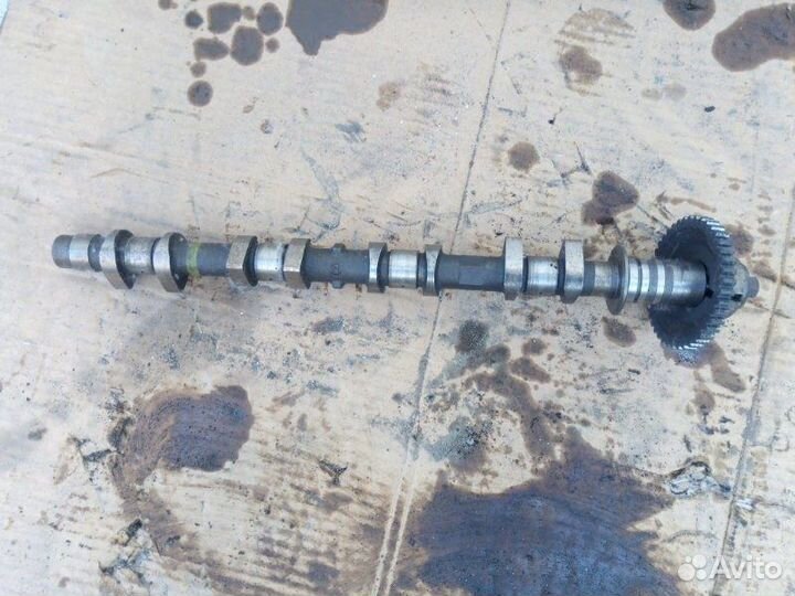 Распредвал выпускной Nissan Tiida С11 HR16DE