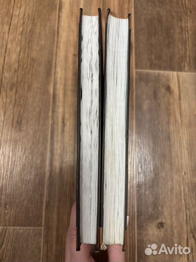 Коты воители Миссия огнезвезда 2 книги