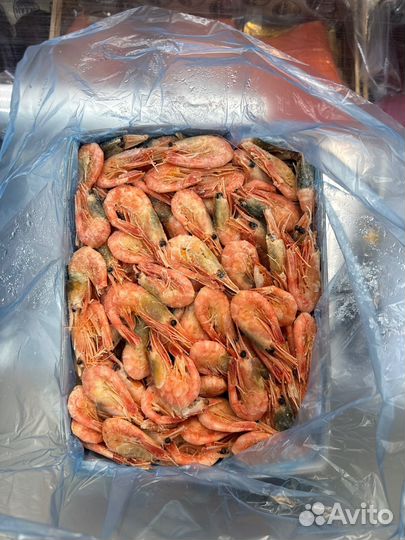 Морепродукты оптом и розница