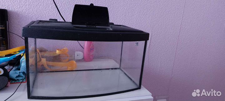 Аквариум