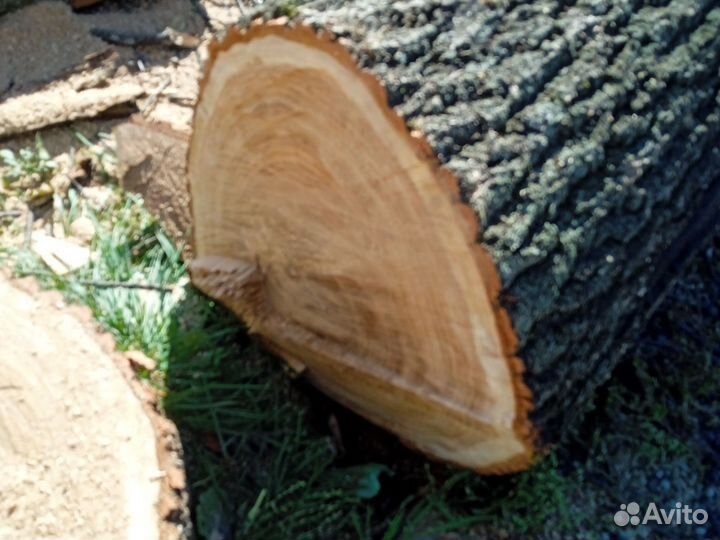 Дрова дубовые