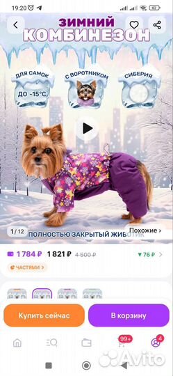 Зимний комбинезон для собаки девочки