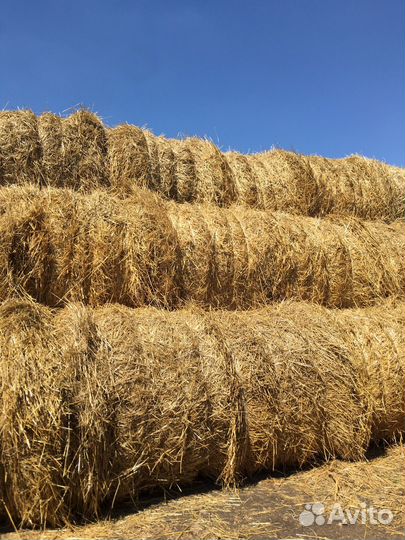 Солома в тюках