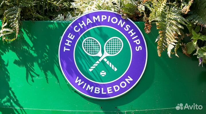 Теннис трансляции