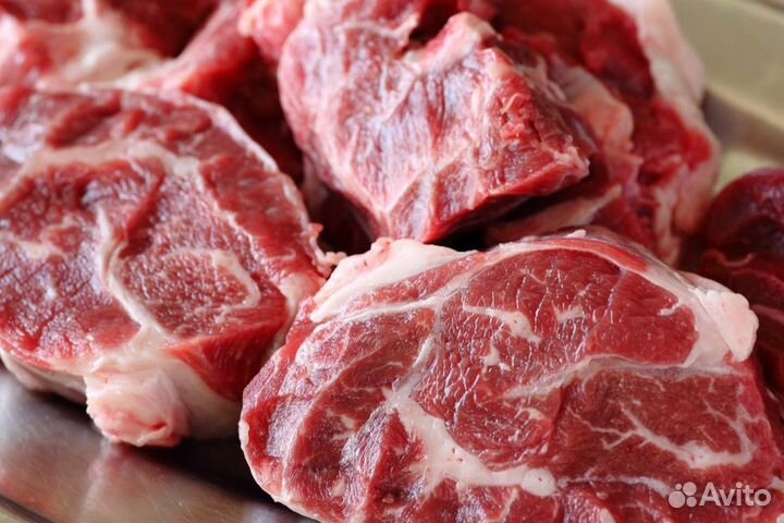 Мясо для собак Гатчина