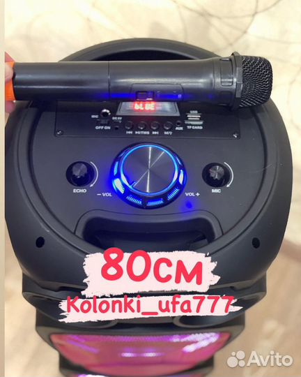 Колонка bluetooth bt караоке на акб 80см