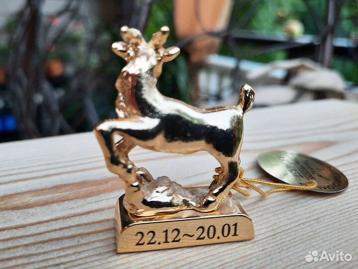 Козерог знак зодиака