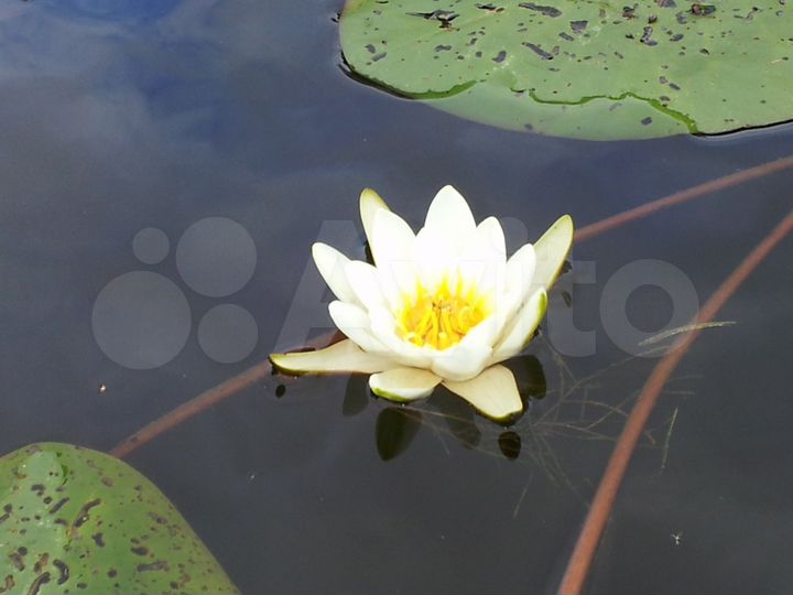 Участок 6,41 га (СНТ, ДНП)