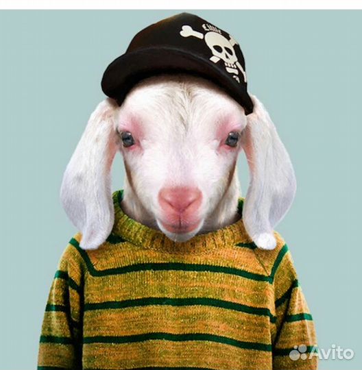 Козье молоко