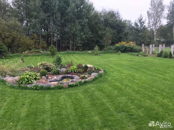 Подготовка и посев газона