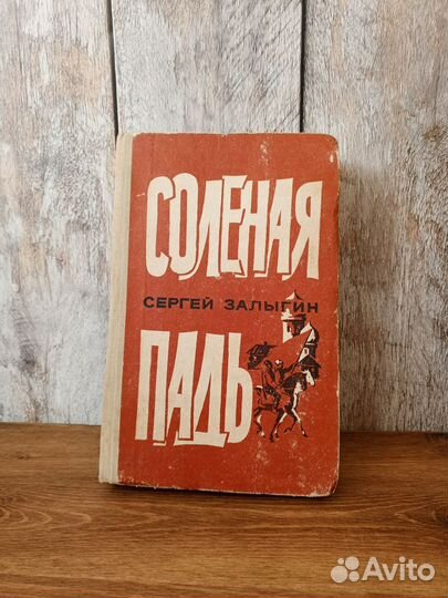 Соленая падь - Сергей Залыгин