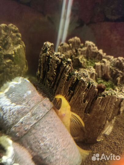 Аквариум 60-65 л