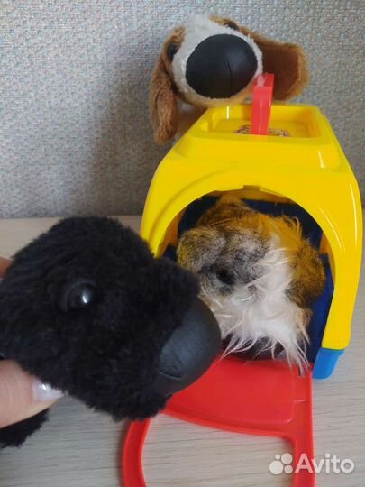 Собачки и переноска