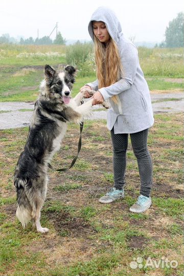 Воинственная Зена