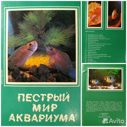 Набор открыток - Пестрый мир аквариума