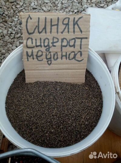 Семена многолетних и однолетних трав