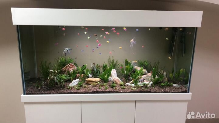 Аквариум 500 литров на заказ по размерам