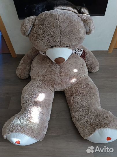 Плюшевый медведь
