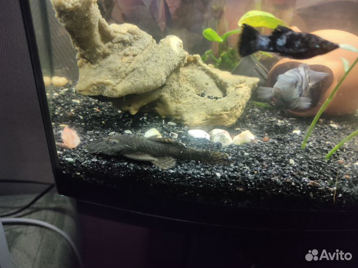 Аквариум с тумбой