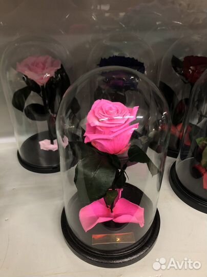 Роза в колбе из эквадора