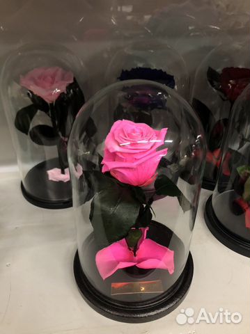 Роза в колбе из эквадора