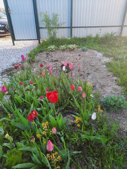 Дом 36 м² на участке 6 сот.