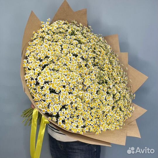 Ромашки оптом